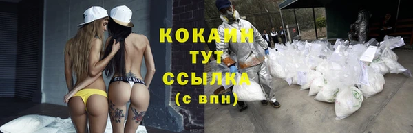 гидропоника Бабаево